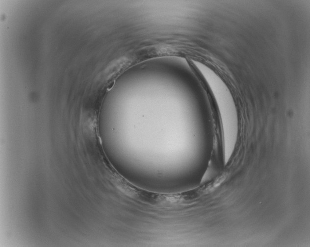 X0000075380329200609251158