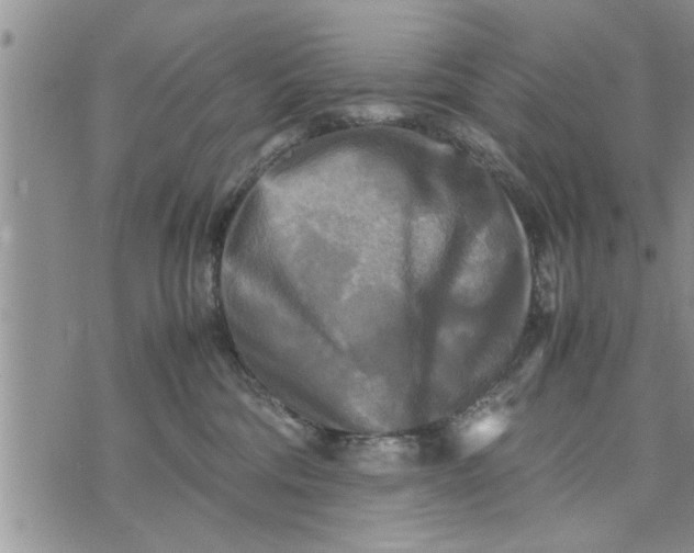 X0000075380330200609251158