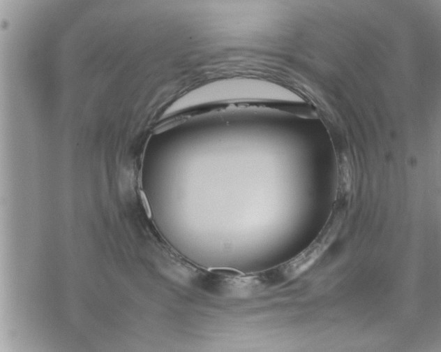 X0000075380333200609251158