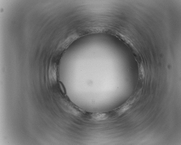 X0000075380334200609251158