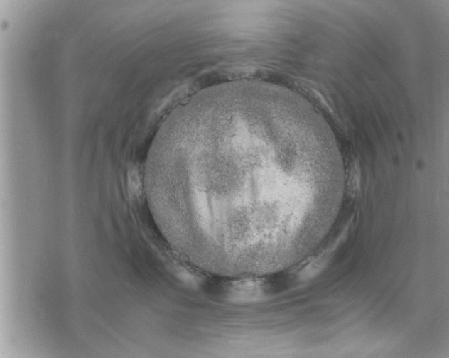 X0000075380335200609251158