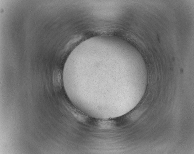 X0000075380336200609251158