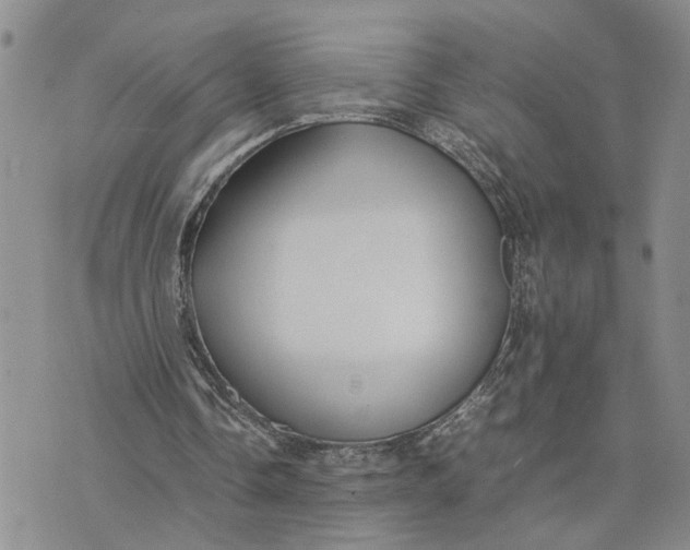 X0000075380338200609251157