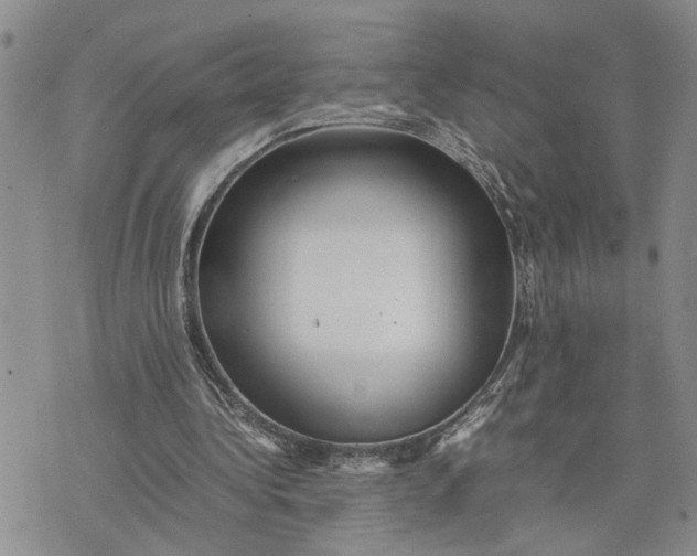 X0000075380340200609251157