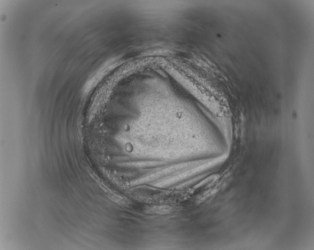 X0000075380341200609251158