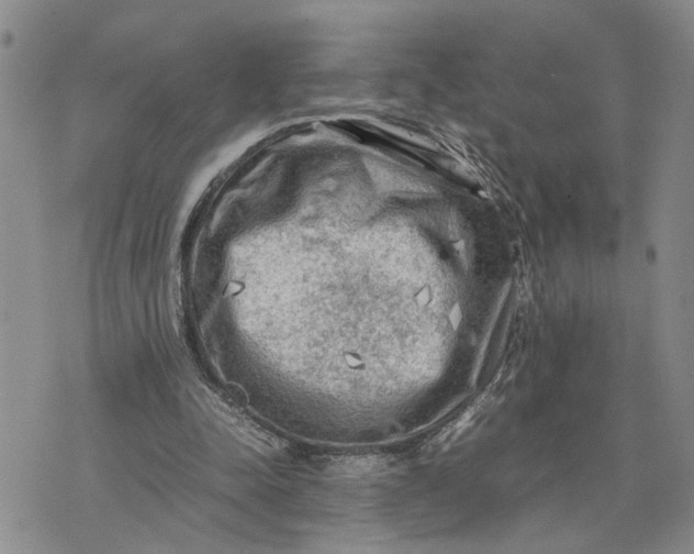 X0000075380342200609251158