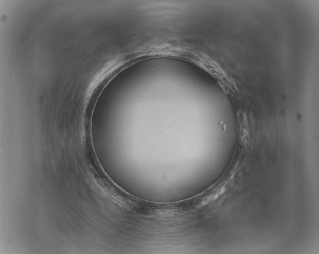 X0000075380344200609251158