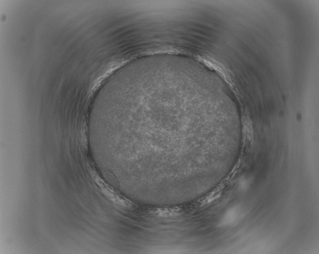 X0000075380345200609251158