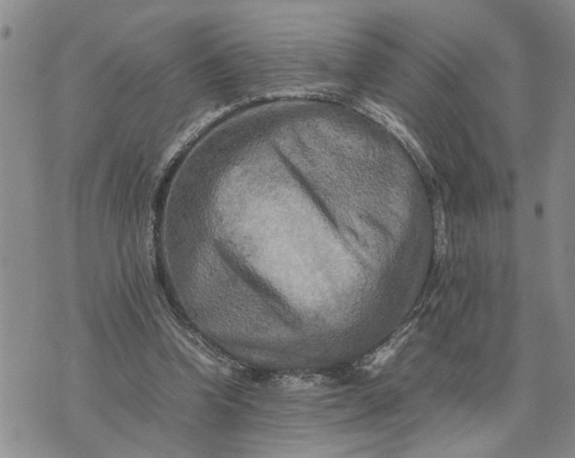 X0000075380346200609251158