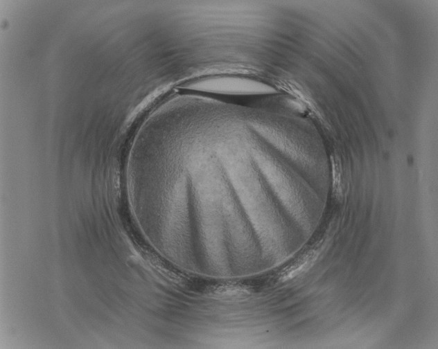 X0000075380348200609251158