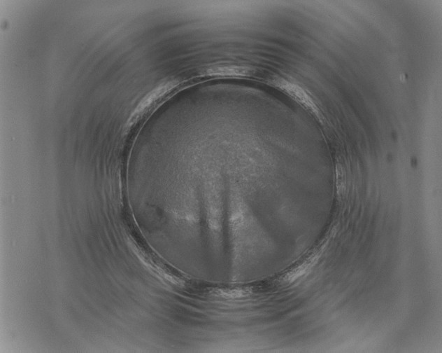 X0000075380349200609251158