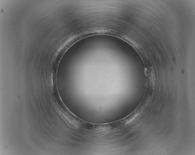 X0000075380350200609251158