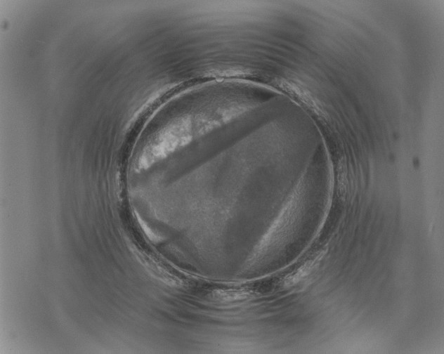 X0000075380351200609251158