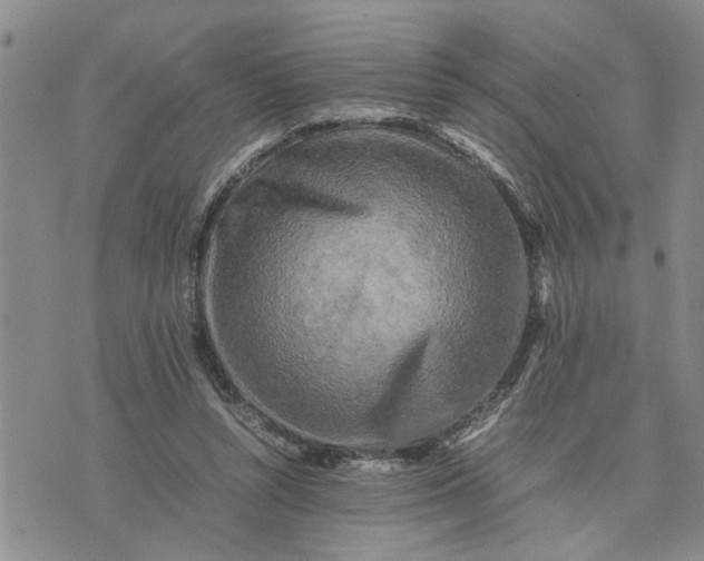 X0000075380352200609251158