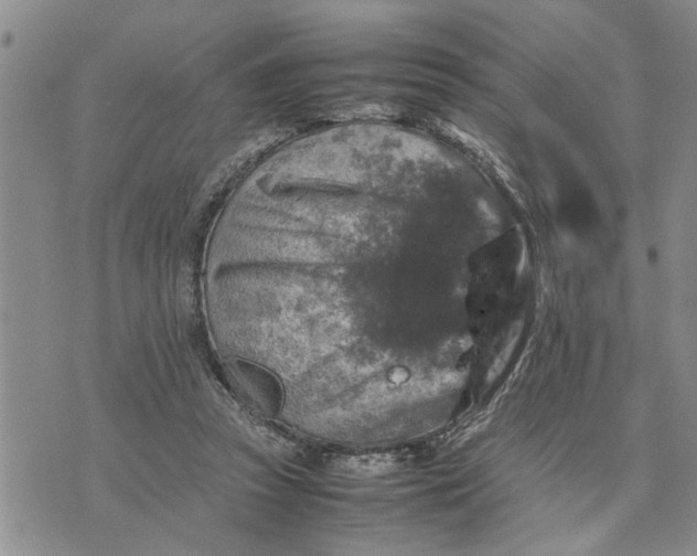 X0000075380353200609251158