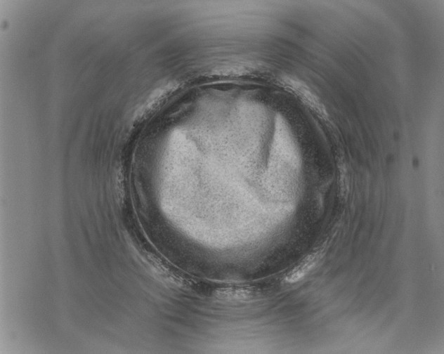 X0000075380354200609251158