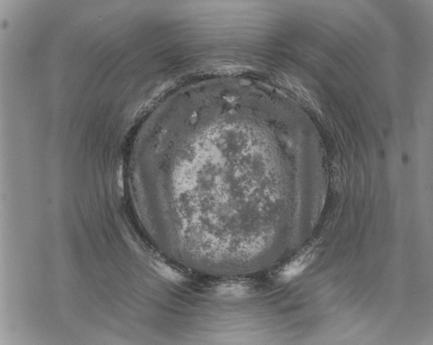 X0000075380358200609251158