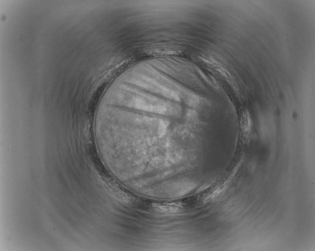 X0000075380359200609251158