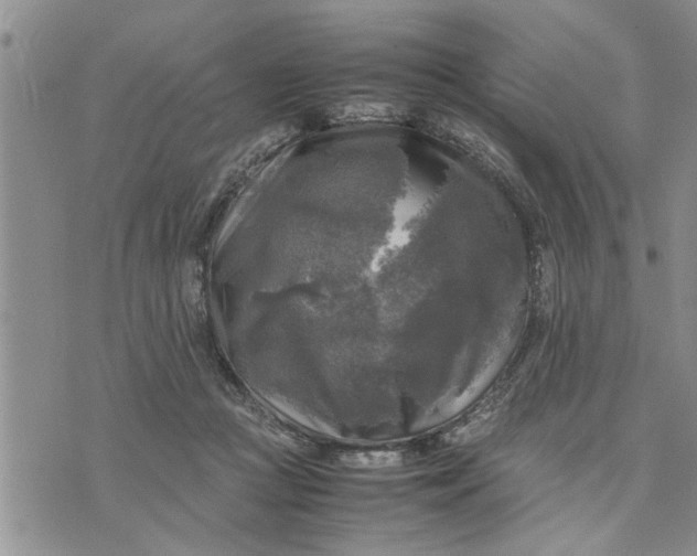 X0000075380361200609251158