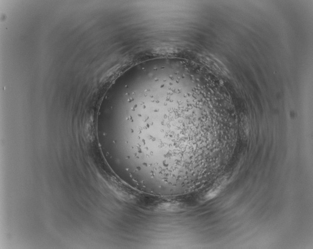 X0000075380364200609251158