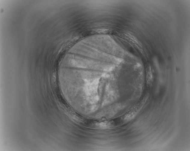 X0000075380365200609251158