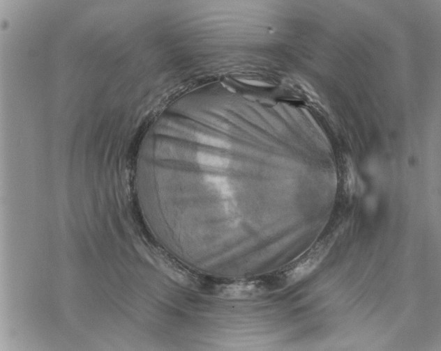 X0000075380366200609251158