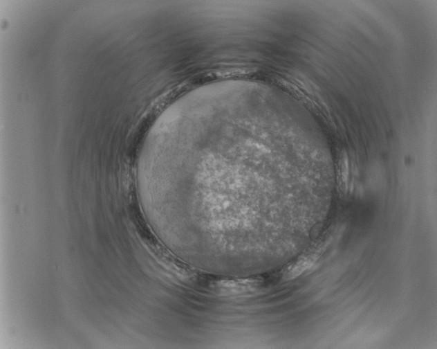 X0000075380367200609251158