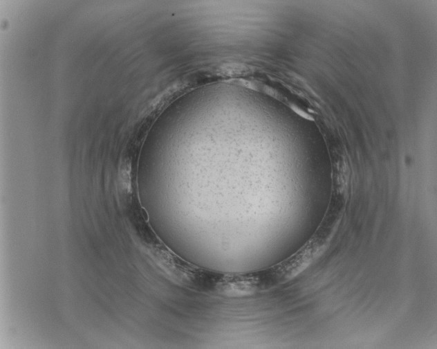 X0000075380368200609251158