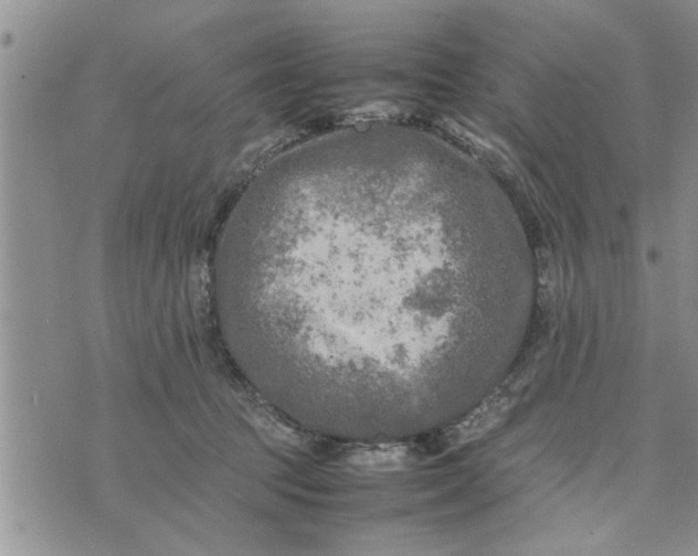 X0000075380369200609251158