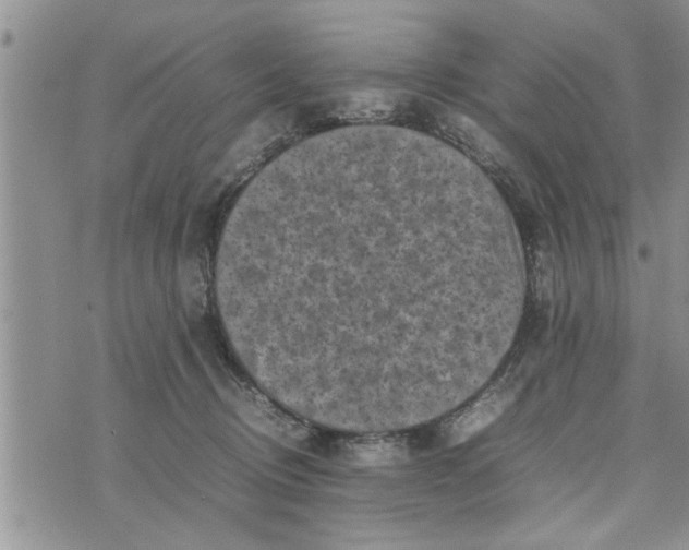 X0000075380370200609251158