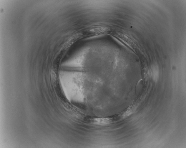 X0000075380371200609251158