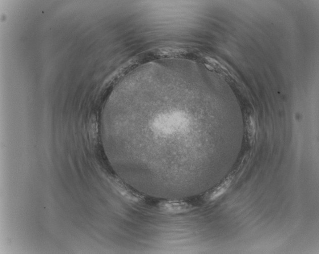 X0000075380372200609251158