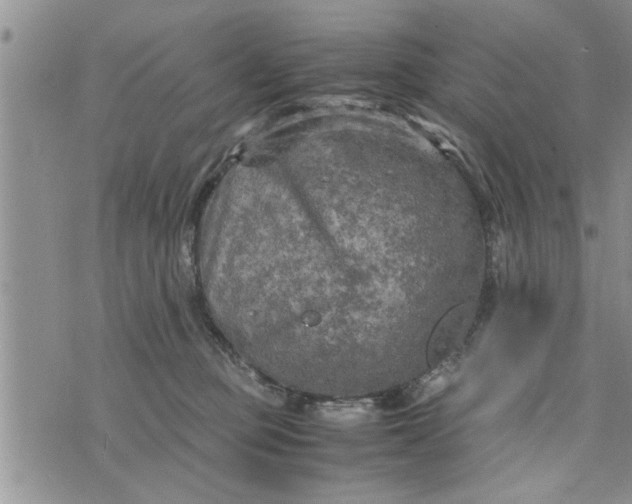 X0000075380373200609251158