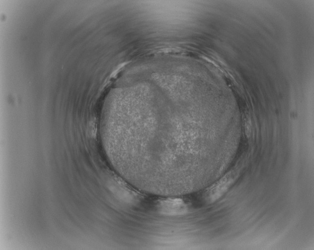 X0000075380374200609251158