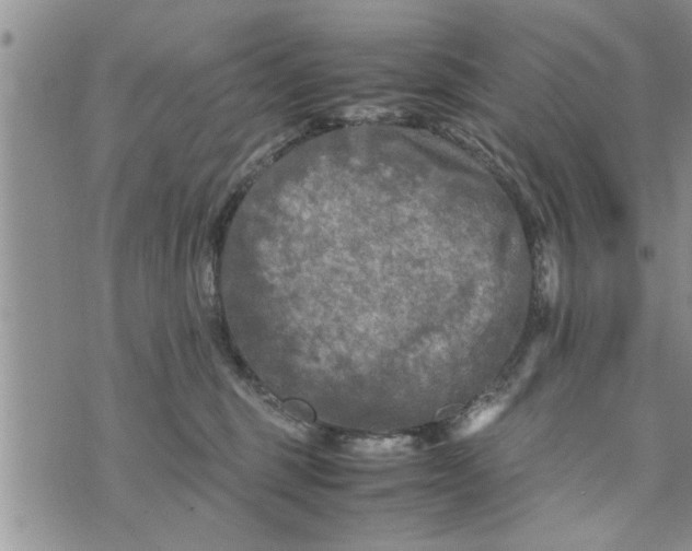 X0000075380375200609251158