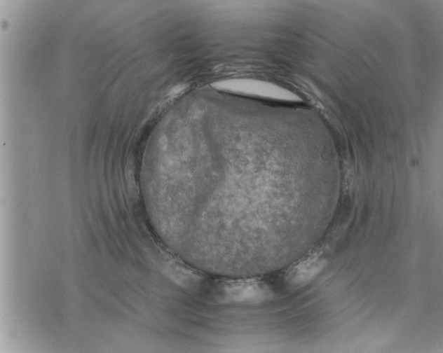 X0000075380377200609251158