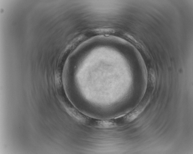 X0000075380380200609251158