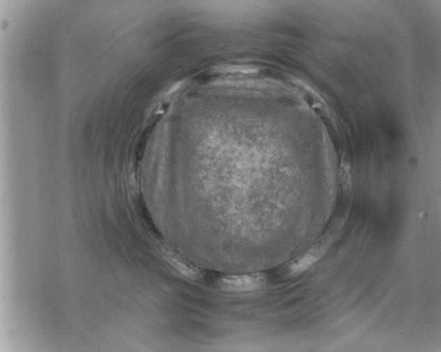 X0000075380381200609251158