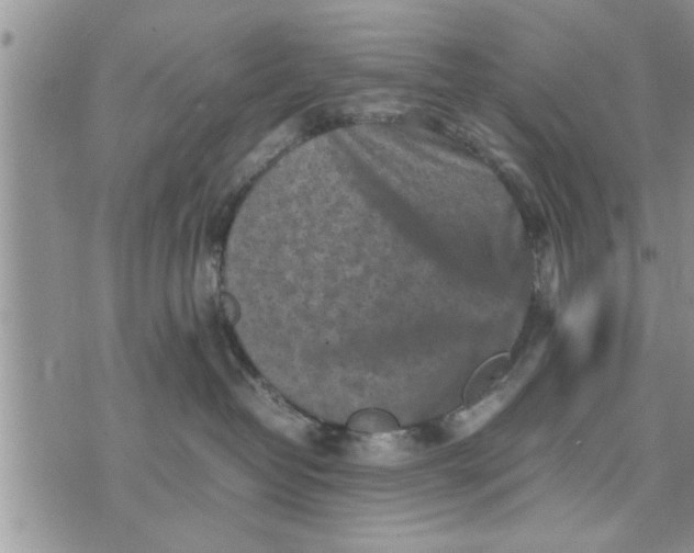 X0000075380382200609251158