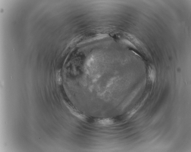 X0000075380383200609251158