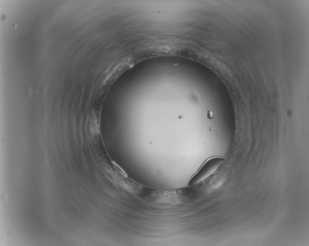 X0000075380384200609251158