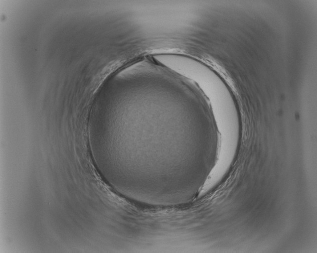 X0000075380385200609251157