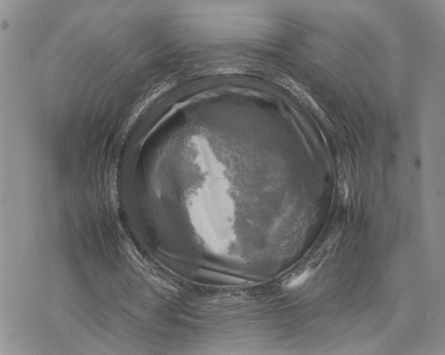 X0000075380386200609251157