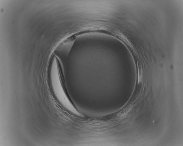 X0000075380387200609251157