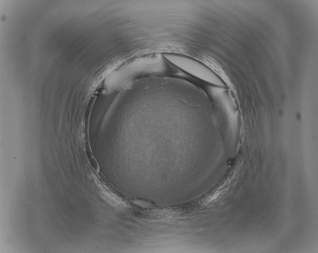 X0000075380389200609251157