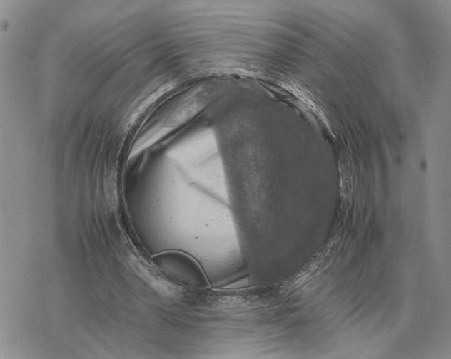 X0000075380390200609251157