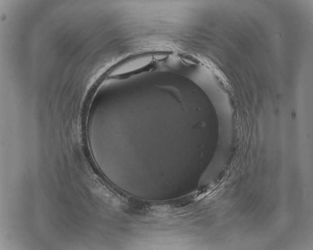 X0000075380391200609251157