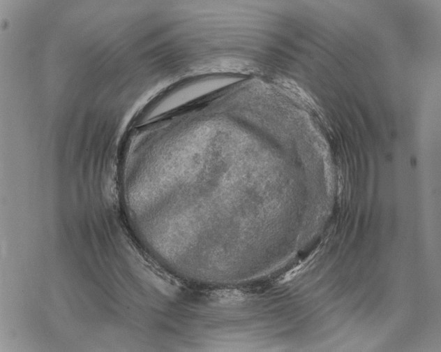 X0000075380392200609251157