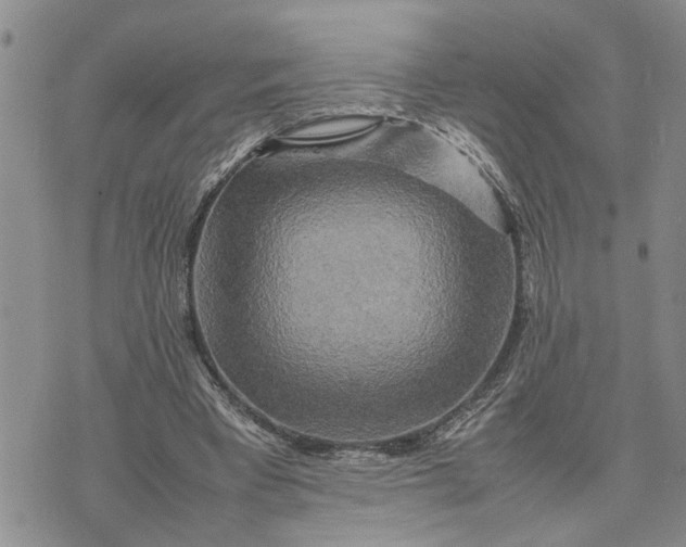 X0000075380393200609251157