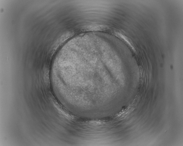 X0000075380394200609251157